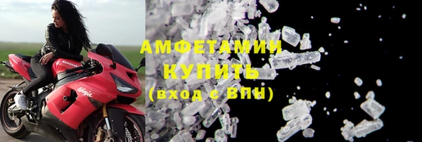 прущие грибы Аркадак