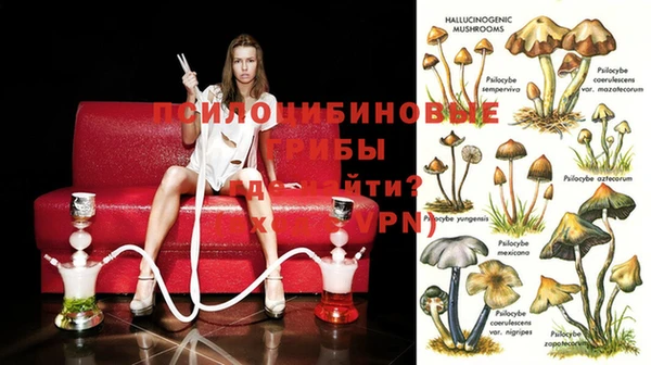 spice Армянск