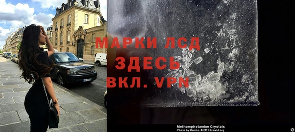 прущие грибы Аркадак