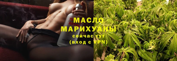 прущие грибы Аркадак