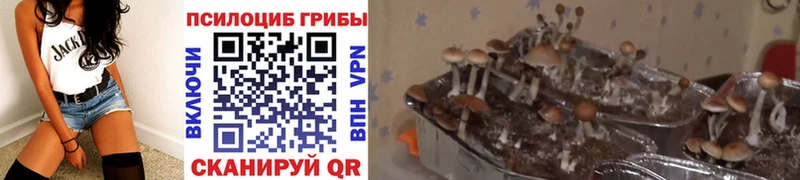 Галлюциногенные грибы Magic Shrooms Сим