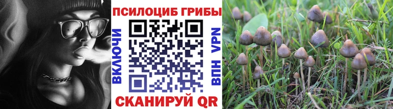 Галлюциногенные грибы Magic Shrooms  цена   Сим 